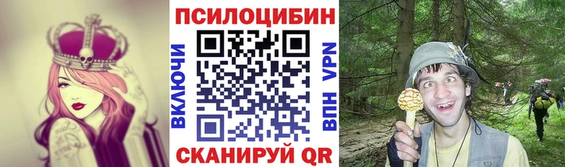 Псилоцибиновые грибы MAGIC MUSHROOMS Бобров